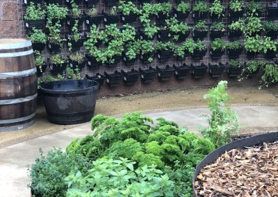 Dementia Australia Ryde Demonstration Garden